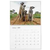Calendrier KMP Meerkats 2022 (Jan 2027)