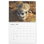 Calendrier KMP Meerkats 2025 (Feb 2027)