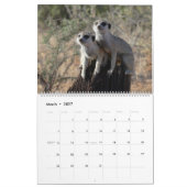 Calendrier KMP Meerkats 2025 (Mar 2027)