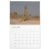Calendrier KMP Meerkats 2025 (Jan 2027)