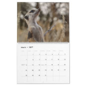Calendrier KMP Meerkats 2026 (Mar 2027)