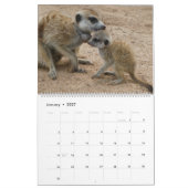 Calendrier KMP Meerkats 2026 (Jan 2027)
