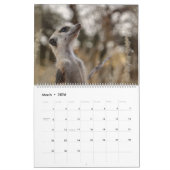 Calendrier KMP Meerkats 2026 Calendar (Mar 2026)