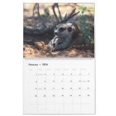 Calendrier KMP Meerkats 2026 Calendar (Feb 2026)