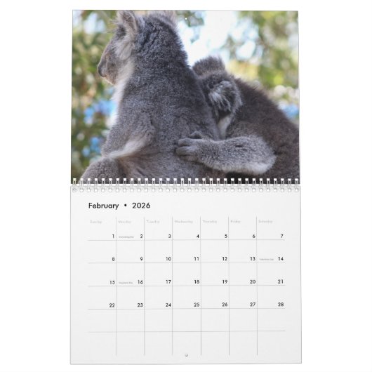 Calendrier Koala (Feb 2026)
