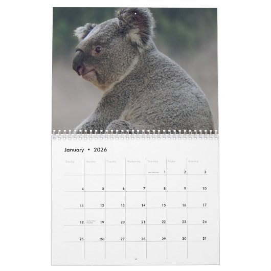 Calendrier Koala (Jan 2026)