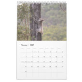 CALENDRIER KOALA AUSTRALIE (Feb 2027)