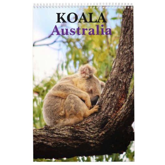CALENDRIER KOALA AUSTRALIE (Protection)