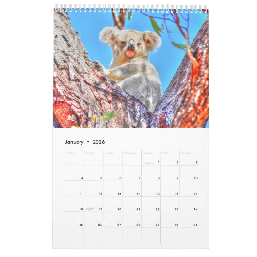 CALENDRIER KOALA AUSTRALIE (Jan 2026)