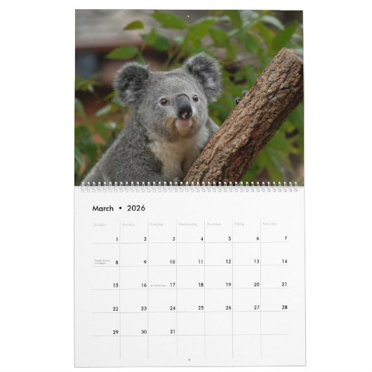 Calendrier Koalas (Mar 2026)