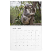 Calendrier Koalas (Jan 2026)