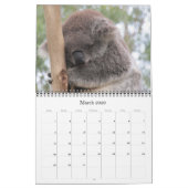 Calendrier koalas 2025 (Mar 2026)