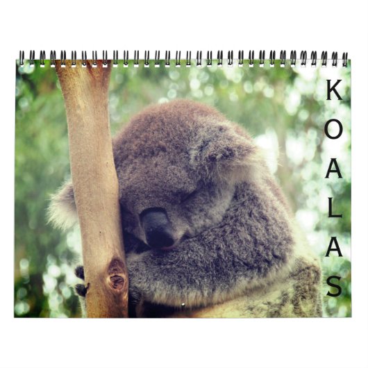 Calendrier koalas 2027 (Protection)