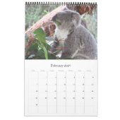 Calendrier koalas australiens 2025 (Feb 2027)