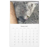 Calendrier koalas australiens 2026 (Jan 2027)