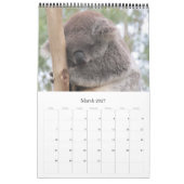 Calendrier koalas australiens 2026 (Mar 2027)