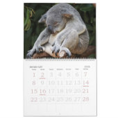 Calendrier Koalendar (Feb 2026)