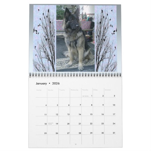 Calendrier KSCI 2012 (Jan 2026)