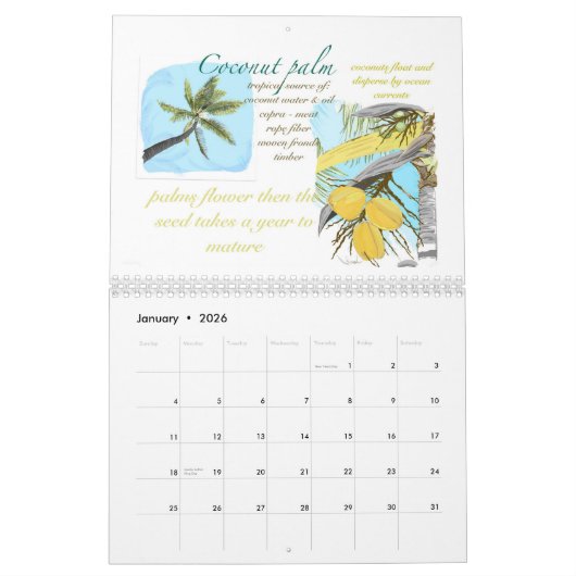 Calendrier Kwaj 2026 (Jan 2026)