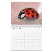 Calendrier La beauté de la macro photographie (Feb 2026)