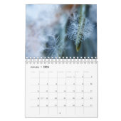 Calendrier La beauté de la macro photographie (Jan 2026)