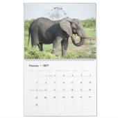 Calendrier La beauté de l'Afrique (Feb 2027)