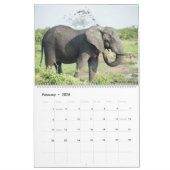 Calendrier La beauté de l'Afrique (Feb 2026)