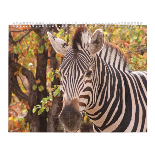 Calendrier La beauté de l'Afrique (Protection)