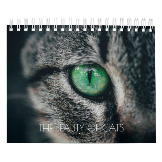 CALENDRIER "LA BEAUTÉ DES CHATS" (Protection)