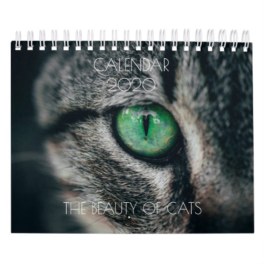 CALENDRIER "LA BEAUTÉ DES CHATS" (Protection)