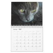CALENDRIER "LA BEAUTÉ DES CHATS" (Jan 2027)