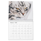 CALENDRIER "LA BEAUTÉ DES CHATS" (Feb 2026)