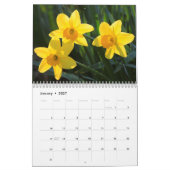 Calendrier La Beauté Des Daffodiles (Jan 2027)