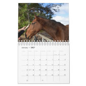 Calendrier La beauté du cheval, (Jan 2027)