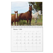 Calendrier La beauté du cheval, (Feb 2026)