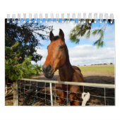 Calendrier La beauté du cheval, (Protection)