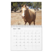 Calendrier La beauté du cheval, (Mar 2026)