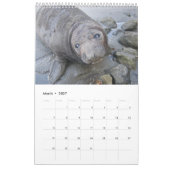 Calendrier La Côte Pacifique 2016 - joints et Scenics (Mar 2027)