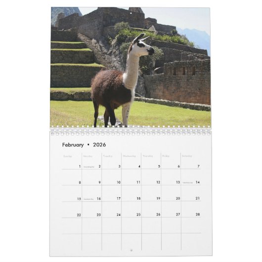 Calendrier La coutume Llama et Alpaca Any Year (Feb 2026)