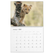 Calendrier La faune africaine (Jan 2027)