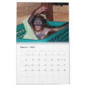 Calendrier La faune de Cute Apes Orangutan (Feb 2026)