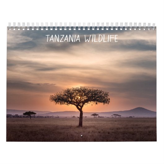 Calendrier La faune de la Tanzanie (Protection)