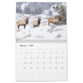 Calendrier La faune de Yellowstone (Feb 2026)