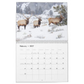 Calendrier La faune de Yellowstone (Feb 2027)