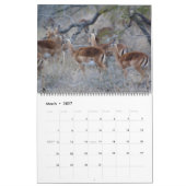 Calendrier La faune sud-africaine (Mar 2027)