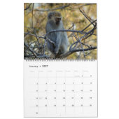Calendrier La faune sud-africaine (Jan 2027)