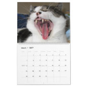 Calendrier La Grande Menace De Chat (Mar 2027)