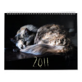 Calendrier La Grande Menace De Chat (Protection)