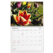 Calendrier La joie de la photographie couleur (Feb 2027)