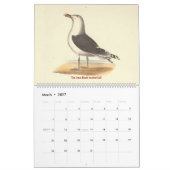 Calendrier La mouette lithographie - des oiseaux de New York (Mar 2027)
